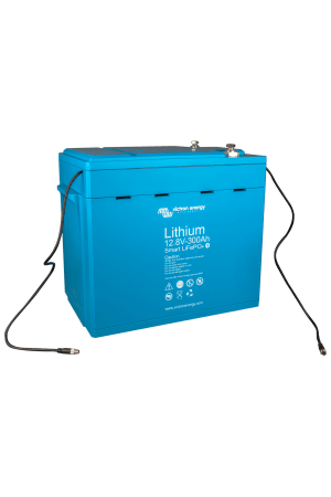 lifepo4 litium battery smart 12V 2