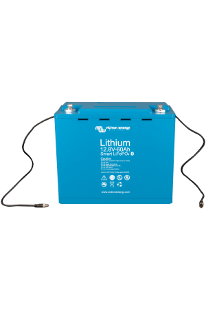 lifepo4 litium battery 60Ah smart 12V 2
